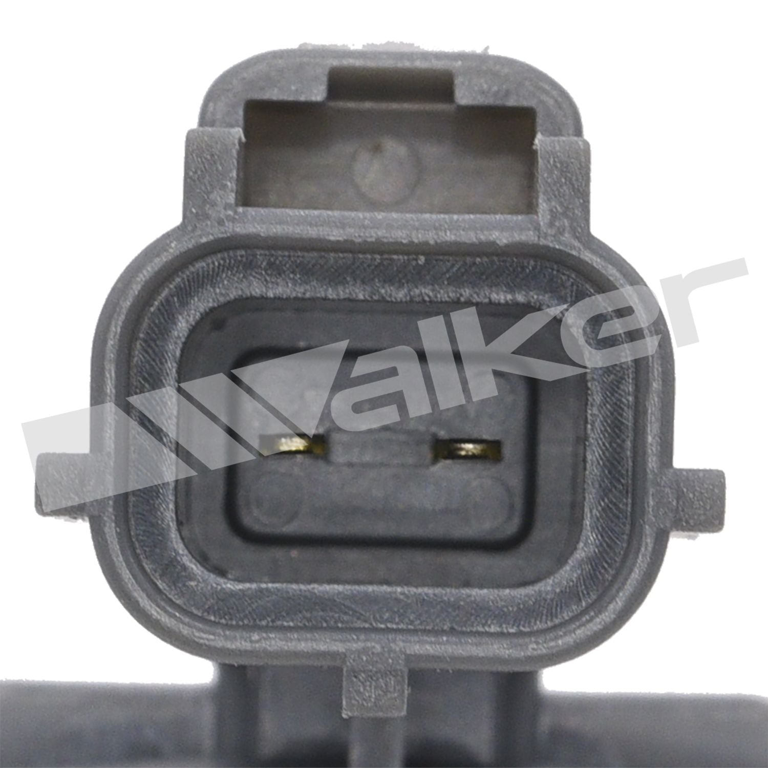 Sensor de temperatura Escape 2001-2008 Walker American